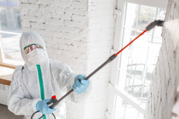 Best Asbestos and Lead Testing During Mold Inspection  in Saw Creek, PA